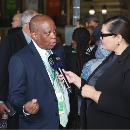 The Rise of Political Celebrities and the Appeal of the Lowest Common Denominator